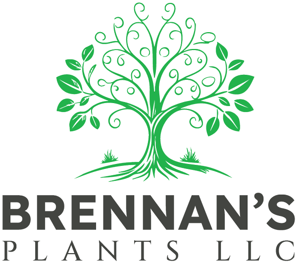 Brennan's Plants LLC Logo